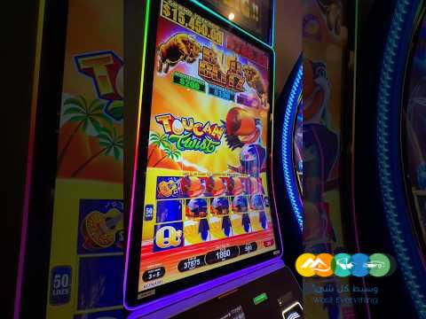 pinco casino online pinco casino online