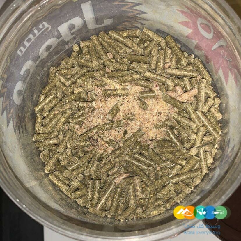 اكل ارنب مجني