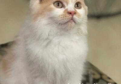 7413bc8d-f33c-476b-b154-27bb362579a7