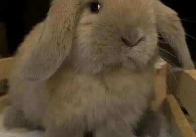 DC15932C-CE11-4E53-9A57-D299EE316362