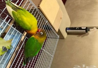 237266A3-1A4E-4E0B-ABEC-8EA5F83380BC