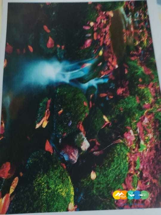 ماكينات تصوير و برنترات