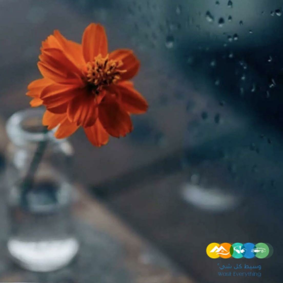 فرصة لكل سيده تسعى لتحقيق دخل