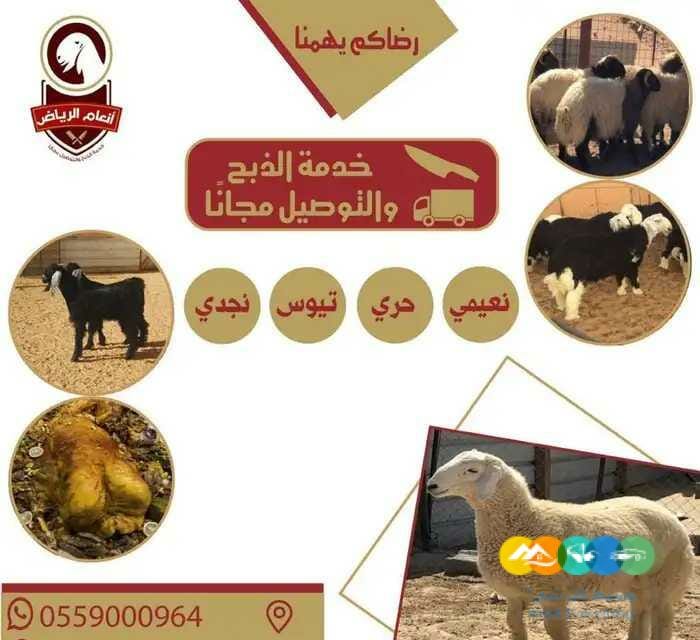 ذبايح (ذبح تغليف توصيل مجانا )