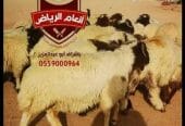 ذبايح (ذبح تغليف توصيل مجانا )
