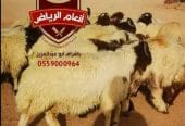ذبايح فاخرة(ذبح تغليف توصيل مج