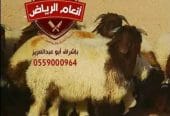 ذبايح فاخره وجبره
