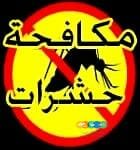 شركة مكافحة حشرات بالرياض