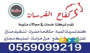 خدمات تنظيف المنازل والفلل