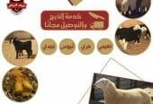 أنعام الرياض للذبائح الفاخرة