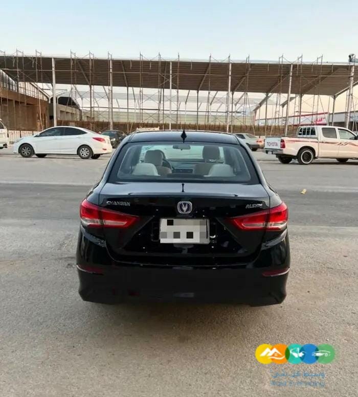 شانجان السفن 2020