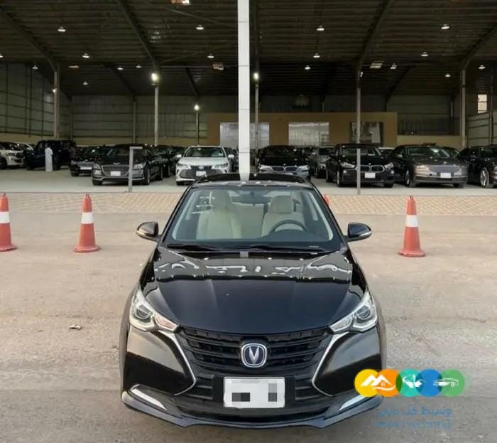 شانجان السفن 2020