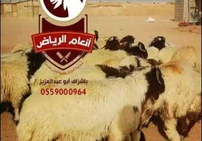 393eb17f-571c-4c01-bb42-48fae739a1ab