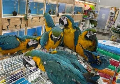 3eb37c89-705d-40fd-bb72-1ea990a05a37