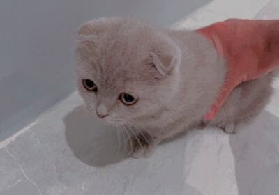 42FE69E0-1214-4402-8E14-63AE4348B286