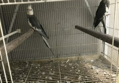 4781E91F-9790-4315-A9AE-1207463F8D4B