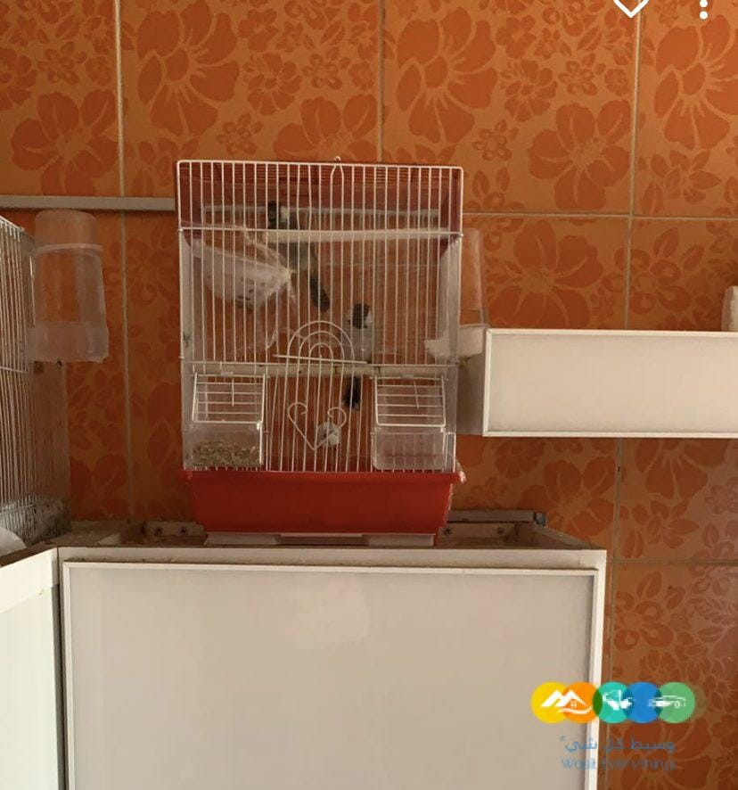 الرياض ظهرةلبن