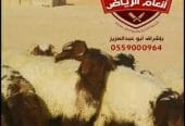 أنعام الرياض للذبائح البلدي