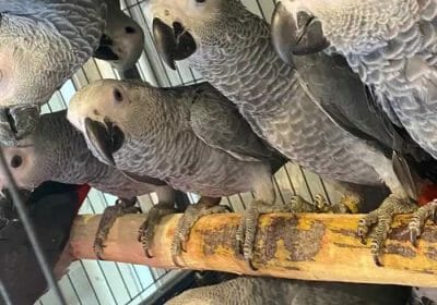 7608dc48-dc62-4e08-afd1-e7e5f793d0e8