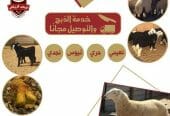 الذبح والتغليف والتوصيل مجاناً