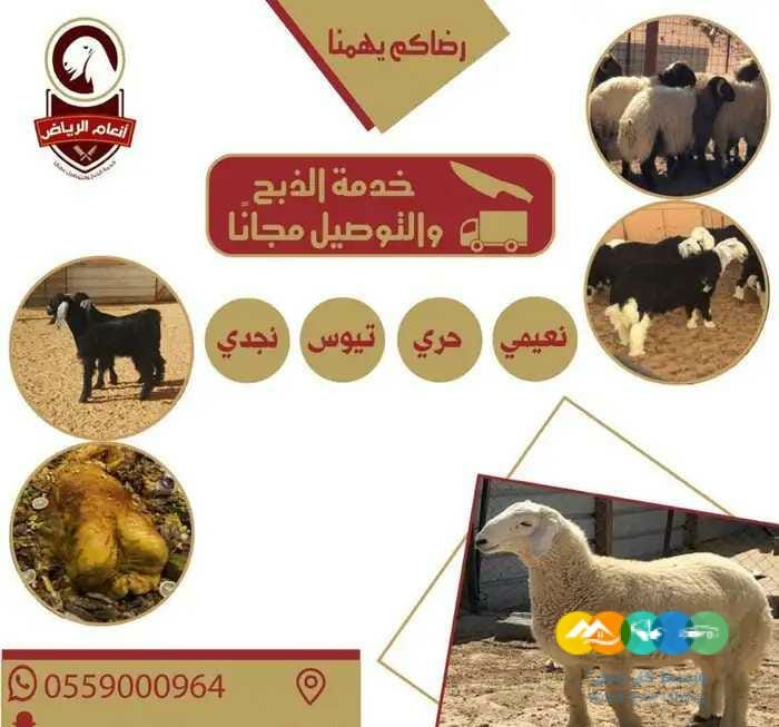 الذبح والتغليف والتوصيل مجاناً