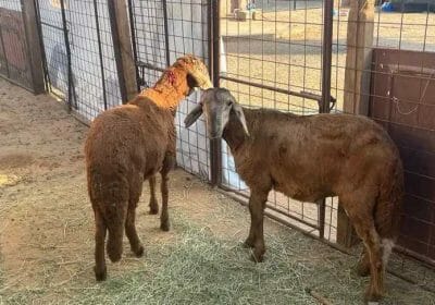 7c0d3726-d2d2-46d3-8c6d-5798cd2484a7