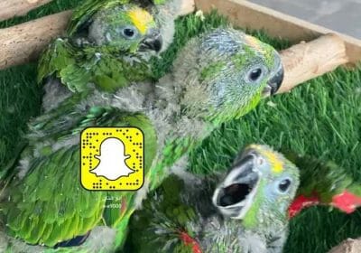 7e438953-4dcd-4f87-b967-37cf0862a702