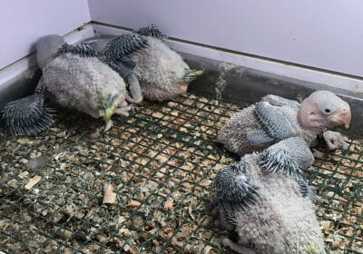 808723A5-E70C-4F99-AF70-8C1E6AA4E21D