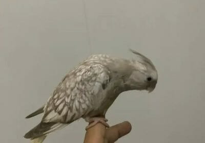 854CD3ED-146C-4B9D-BBD4-0537791481E1