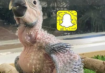 8729ddc5-a32f-4f43-a657-ff8c603f2c4b