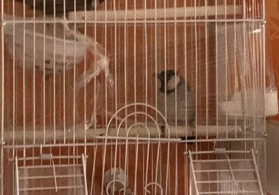 A8F15454-D5F3-4500-8CC7-B3A3F590B65E