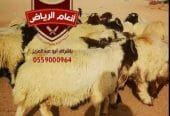 الذبح والتغليف والتوصيل مجاناً