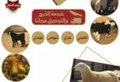 ذبايح فاخره وجبره توصيل مجاني
