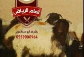 ذبايح فاخره وجبره مع توصيل