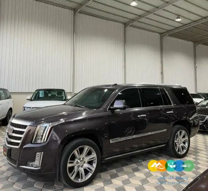 كاديلاك اسكاليد 2016 قصير