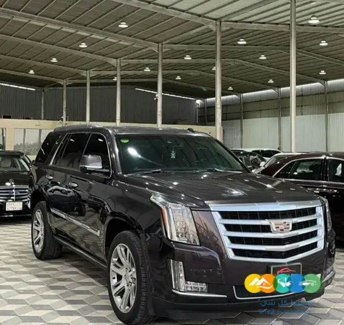 كاديلاك اسكاليد 2016 قصير