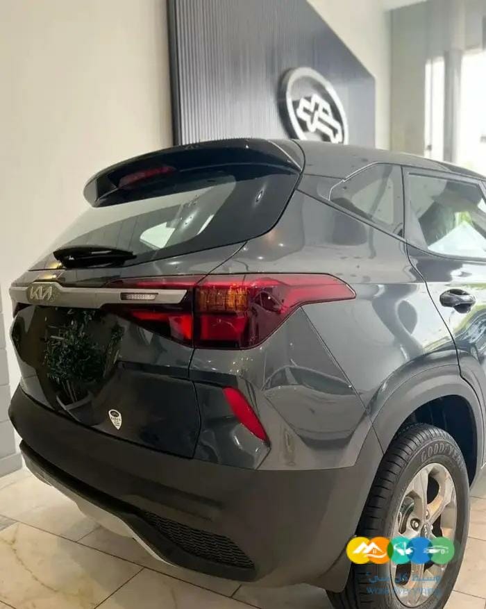 سيلتوس 2023 ستاندر مطور الجبر