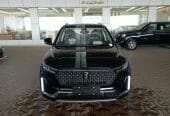 شركة وطنى للسيارات فاو T33