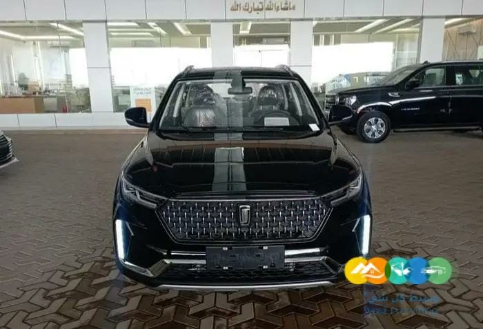 شركة وطنى للسيارات فاو T33