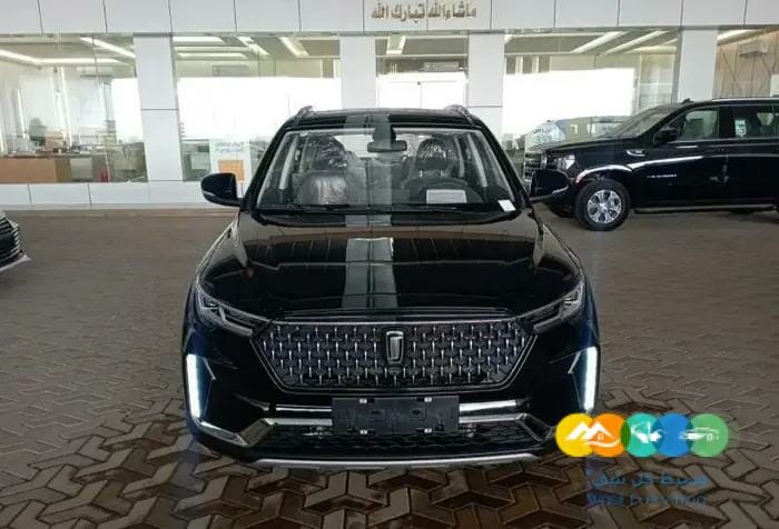 شركة وطنى للسيارات فاو T33