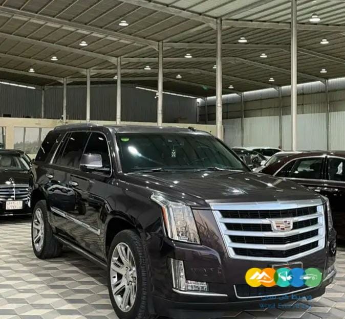 كاديلاك اسكاليد 2016 قصير