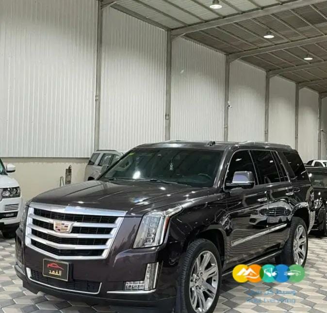 كاديلاك اسكاليد 2016 قصير