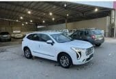 هافال جوليان نص فل 2023