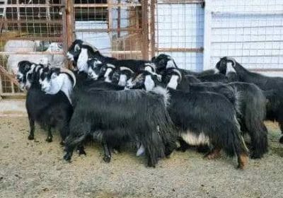 015c92bc-11e3-484d-9ff3-146f9ba82285