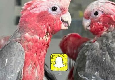 06df365c-6149-4b72-9db9-525c720b7727