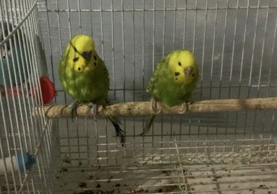 151EB6A1-A82E-4D77-B4C3-484F1F139B6F