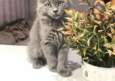 320F477F-A25E-4190-A878-7D8A55E76B0E