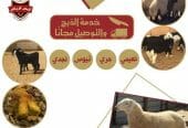انعام الرياض للذبائح