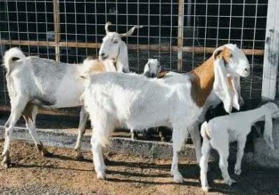 57d51054-e4f5-4e39-bbbf-3ef0796a28d9