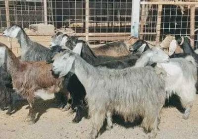 6a8d3c54-c290-489d-bbf1-b8a05d491f10